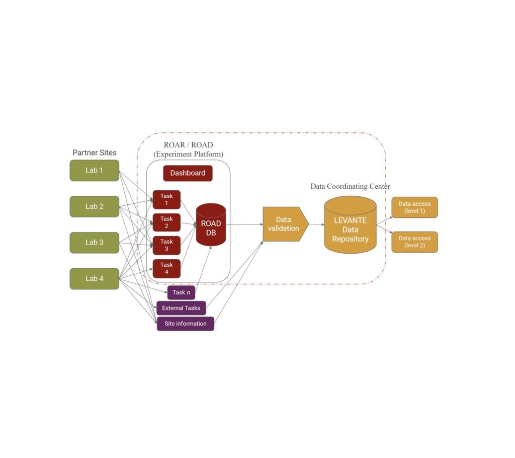 LEVANTE Data Sharing